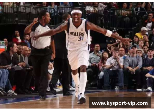NBA风云：中国球员的荣耀之路