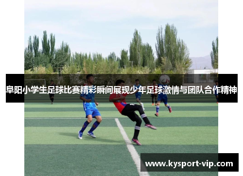 阜阳小学生足球比赛精彩瞬间展现少年足球激情与团队合作精神